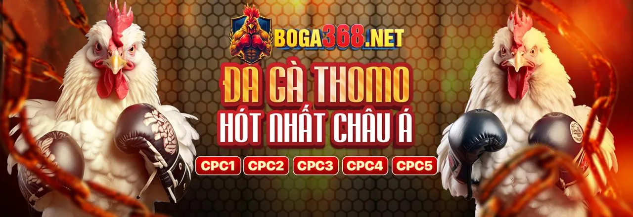 Hình ảnh đại diện quy tắc Casino Trực Tuyến 79king3