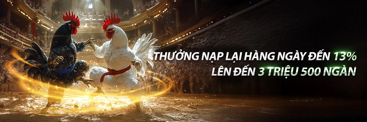Đá gà trực tuyến 79KING3